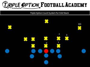 Triple Option Count System for Odd Stack