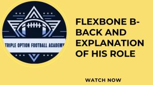 Flexbone B-Back and Explanation of His Role