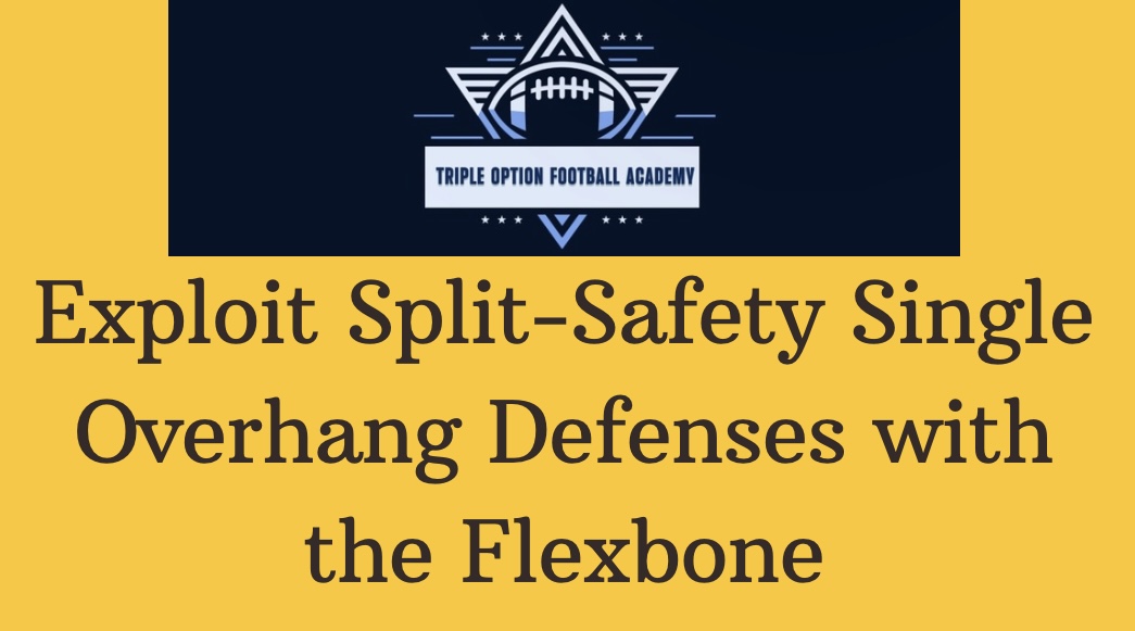 Exploit Split-Safety Single Overhang Defenses with the Flexbone